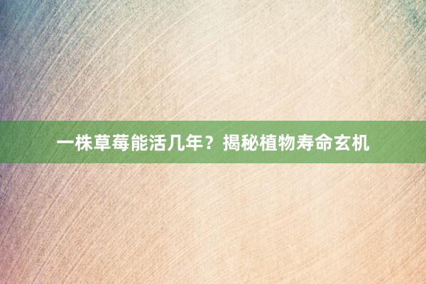 一株草莓能活几年？揭秘植物寿命玄机
