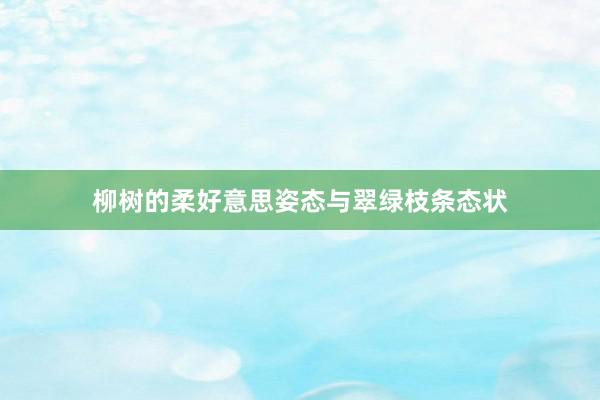 柳树的柔好意思姿态与翠绿枝条态状
