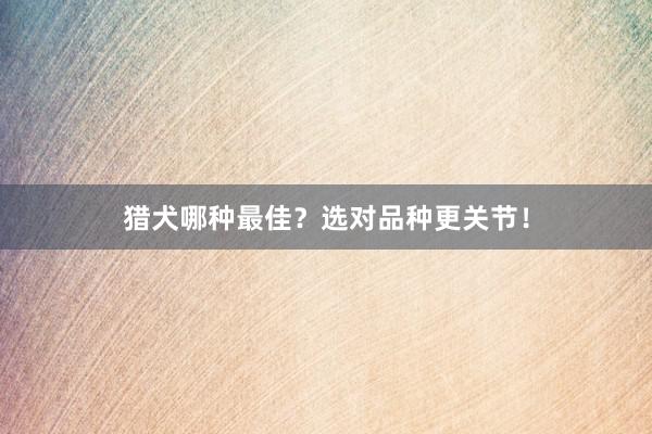 猎犬哪种最佳？选对品种更关节！