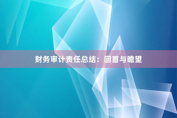 财务审计责任总结：回首与瞻望